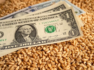 Buğday Fiyatları Dış Piyasada Yükseliyor