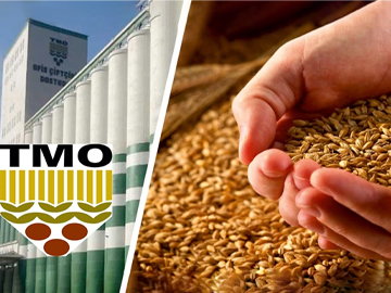 TMO: 'Arpa ve Buğday Fiyatları Yükselecek'